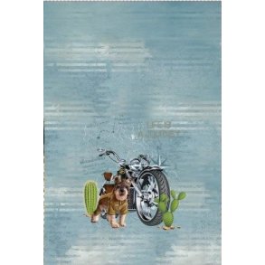 Schnauzer ved motorcykel