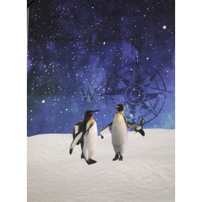 Pingviner p� rejse