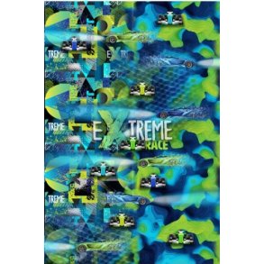 Extreme race panel 3