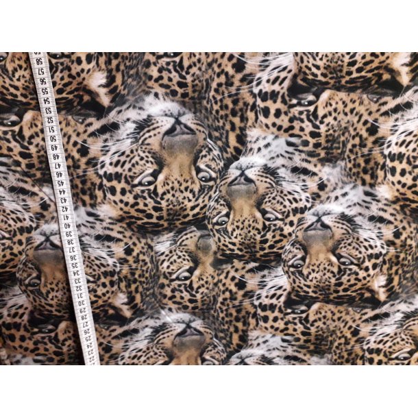 Leopardhoveder